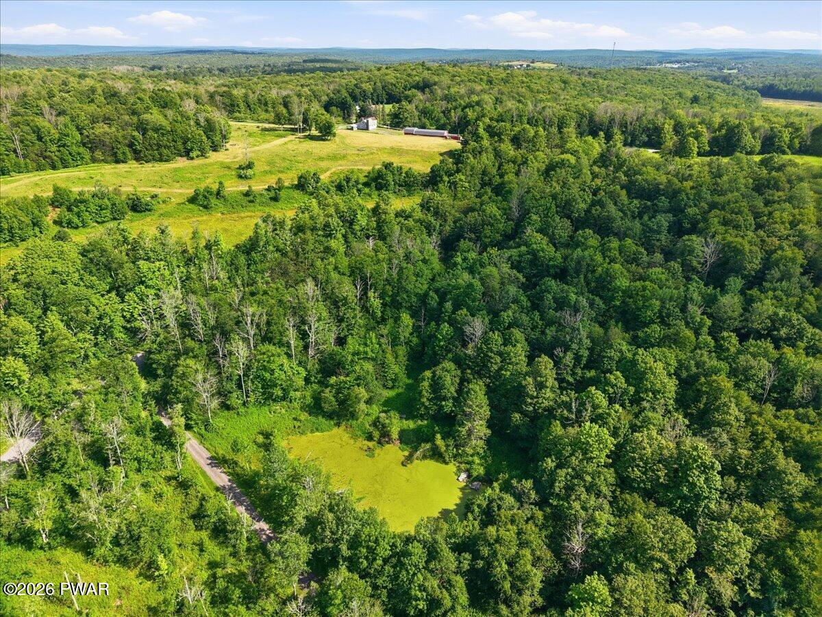 381 Milanville Road Beach Lake, PA 18405 - Photo 100 of 107 Gallery Image 100