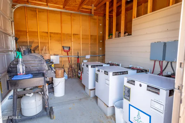 a close up of a plant in a garden