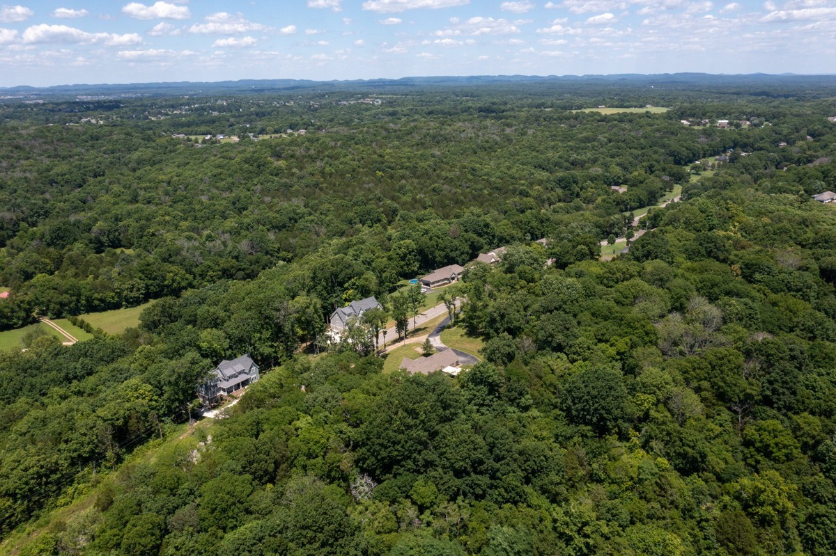 1555 Heller Ridge Spring Hill, TN 37174 - Photo 38 of 50 a view of a city with lush green forest