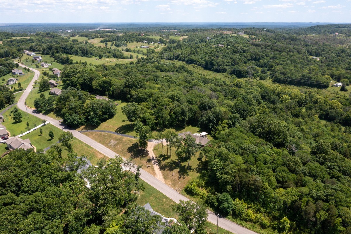 1555 Heller Ridge Spring Hill, TN 37174 - Photo 40 of 50 an aerial view of residential houses with outdoor space and trees