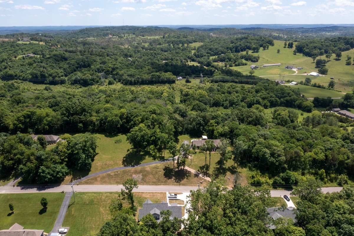 1555 Heller Ridge Spring Hill, TN 37174 - Photo 41 of 50 an aerial view of residential houses with outdoor space and trees