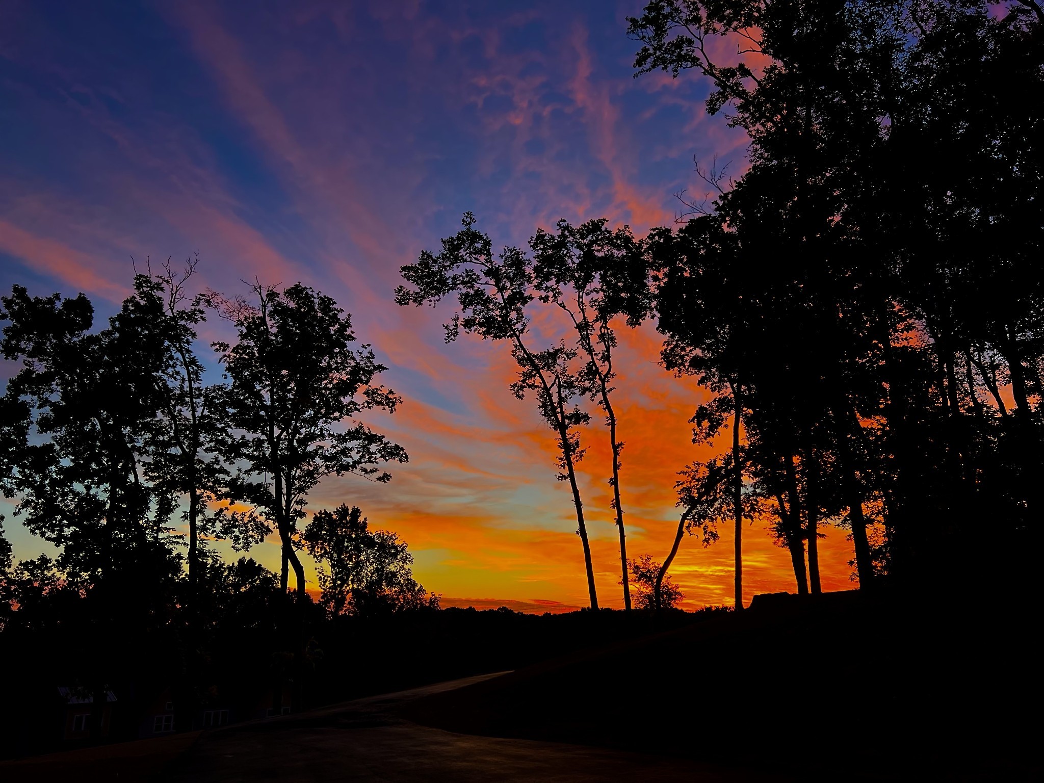 1555 Heller Ridge Spring Hill, TN 37174 - Photo 42 of 50 a view of sunset