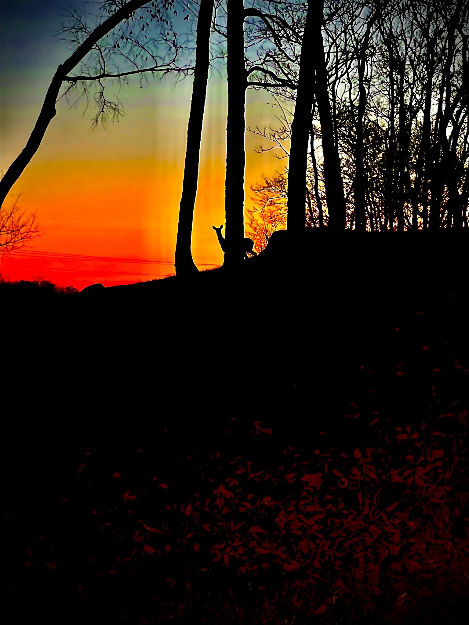 1555 Heller Ridge Spring Hill, TN 37174 - Photo 44 of 50 a view of swimming pool from a yard