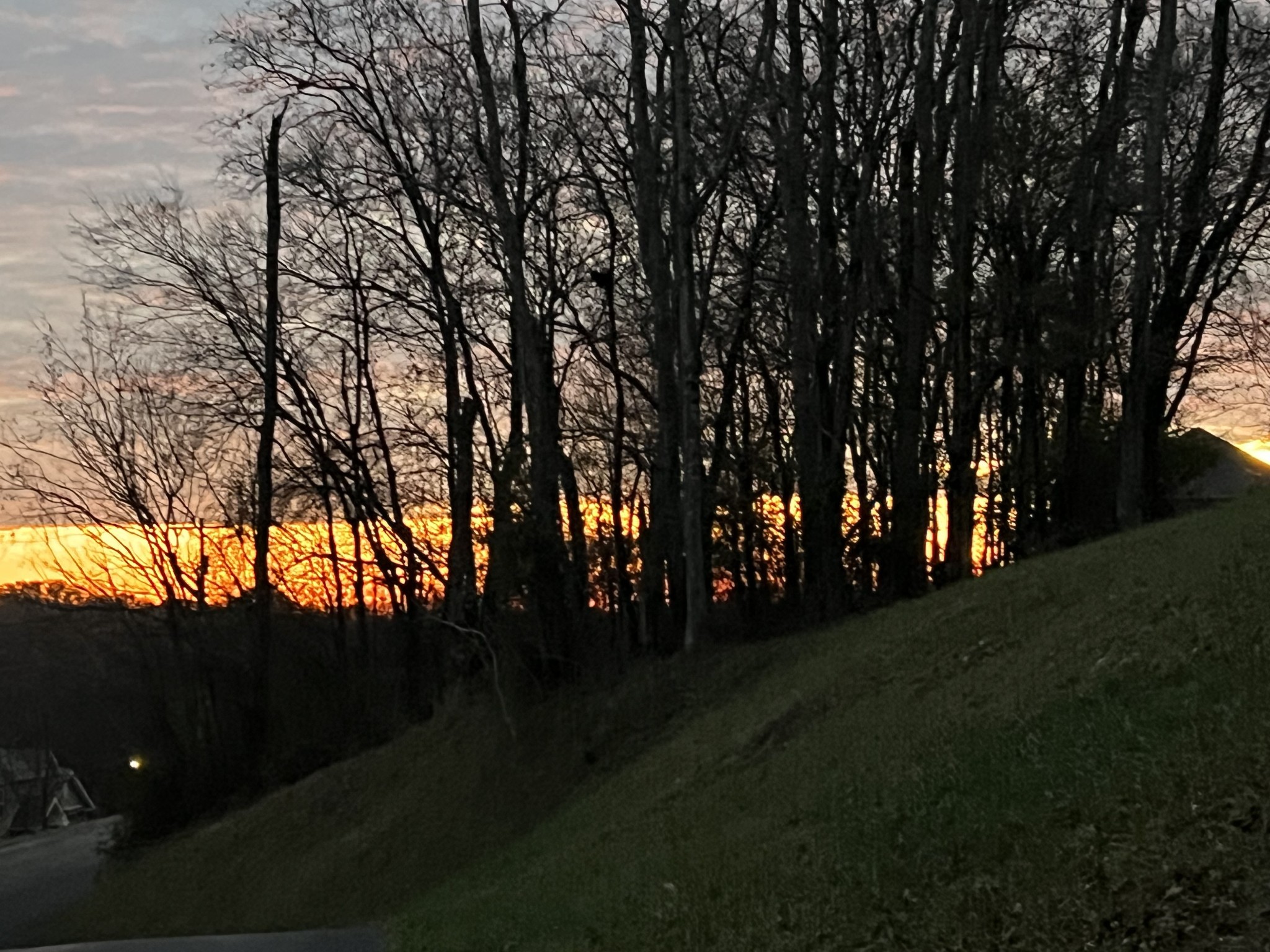 1555 Heller Ridge Spring Hill, TN 37174 - Photo 45 of 50