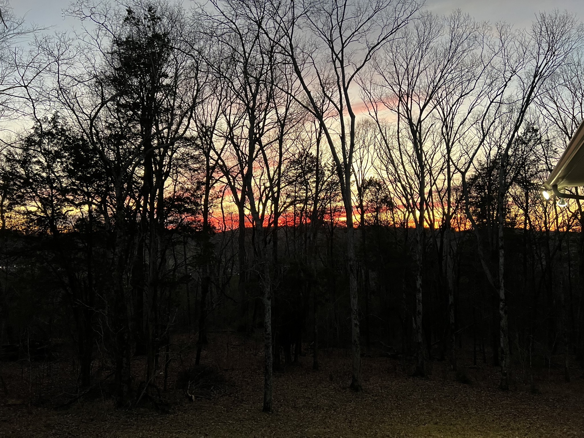 1555 Heller Ridge Spring Hill, TN 37174 - Photo 46 of 50 a backyard of a house