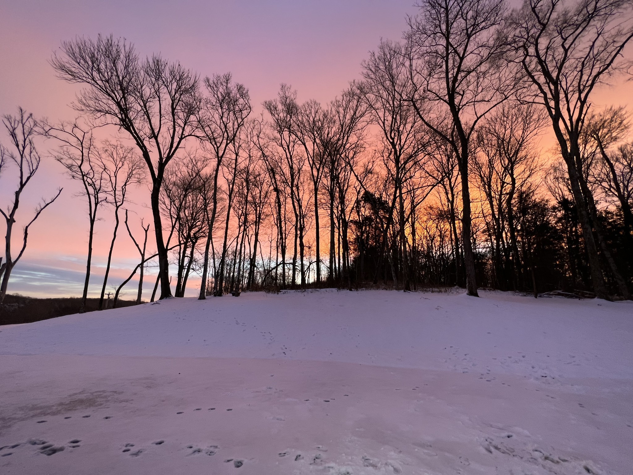 1555 Heller Ridge Spring Hill, TN 37174 - Photo 5 of 50 a view of outdoor space and yard