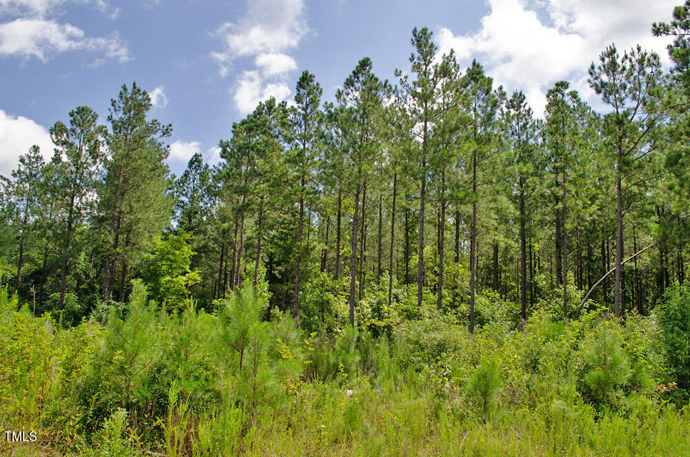 4070 Range Road Stem, NC 27581 - Photo 8 of 26 DSC_0009