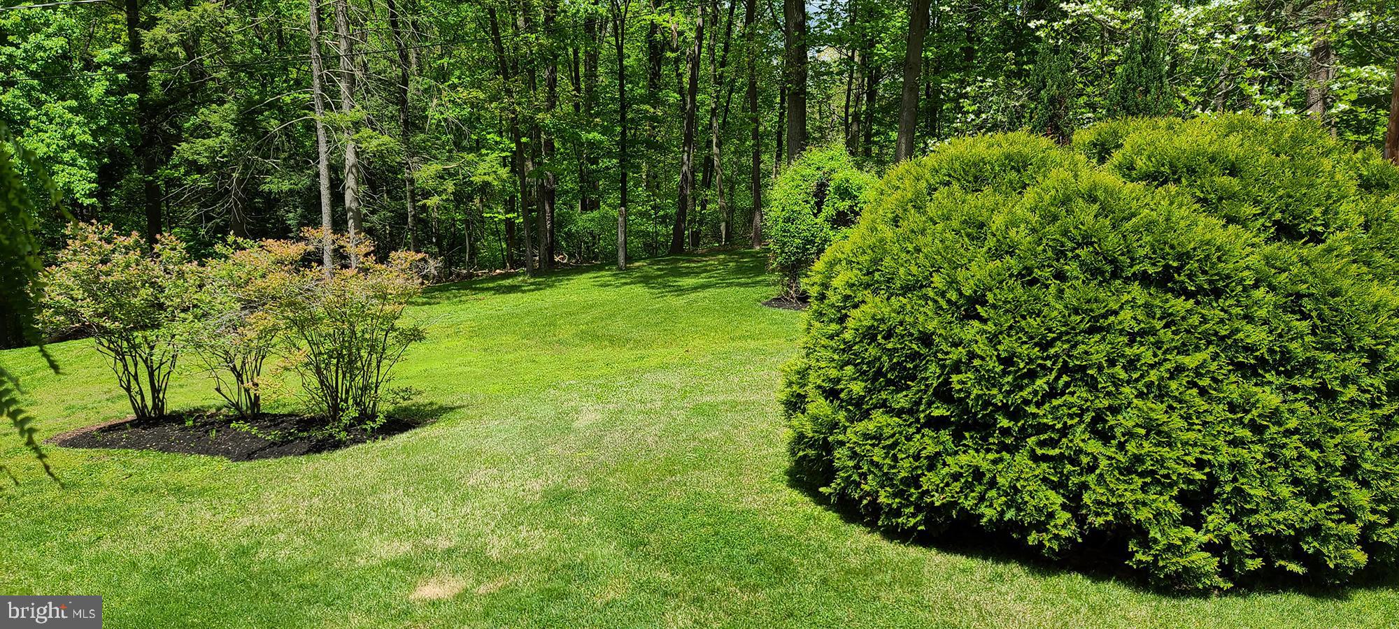 681 Turkey Bird Road Newport, PA 17074 - Photo 19 of 19 Blueberry bushes and lots of yard
