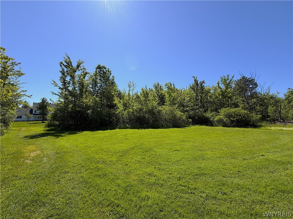 285 Cook Road East Aurora, NY 14052 - Photo 43 of 47