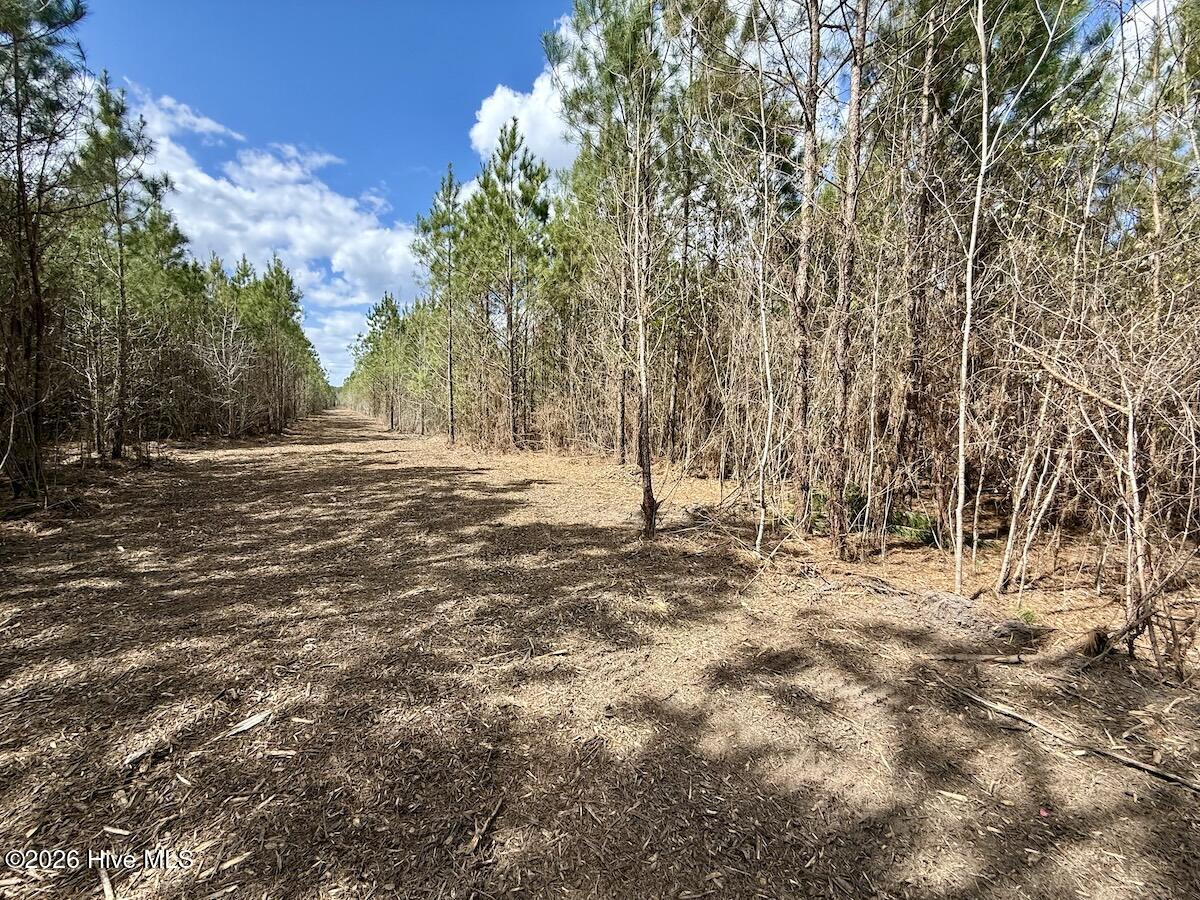 0 Guinea Mill Road Ernul, NC 28527 - Photo 21 of 24 21