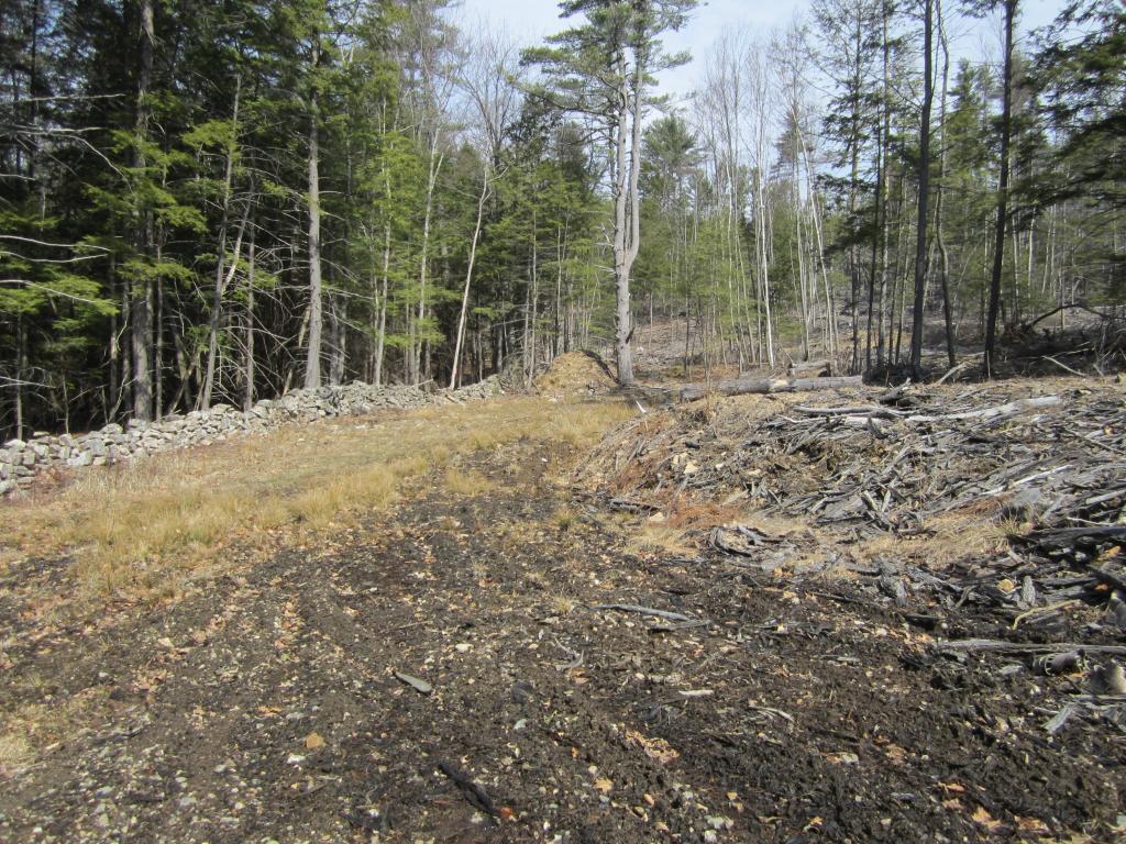 0 London Road Westmoreland, NH 03467 - Photo 3 of 4