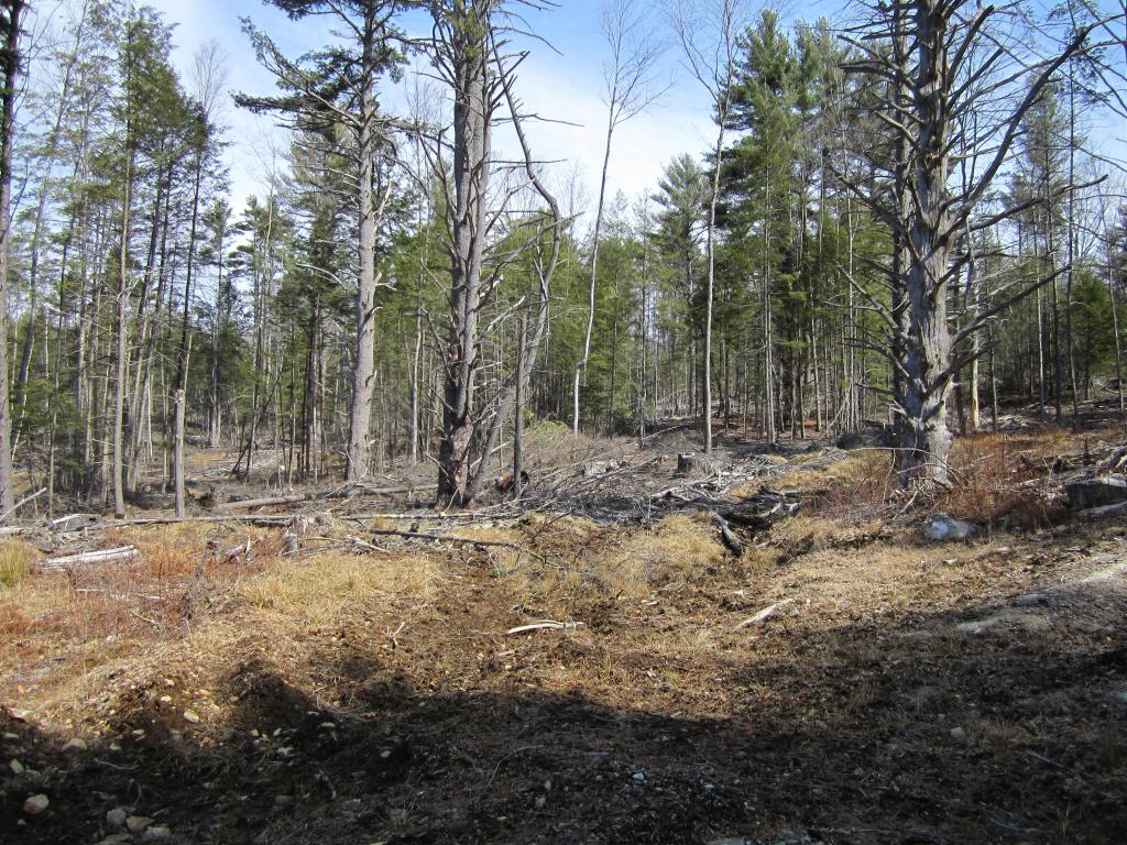 0 London Road Westmoreland, NH 03467 - Photo 4 of 4