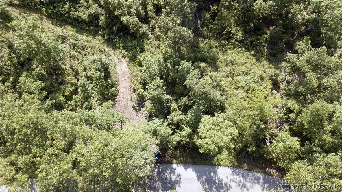 Adkins Road Climax Springs, MO 65324 - Photo 11 of 45