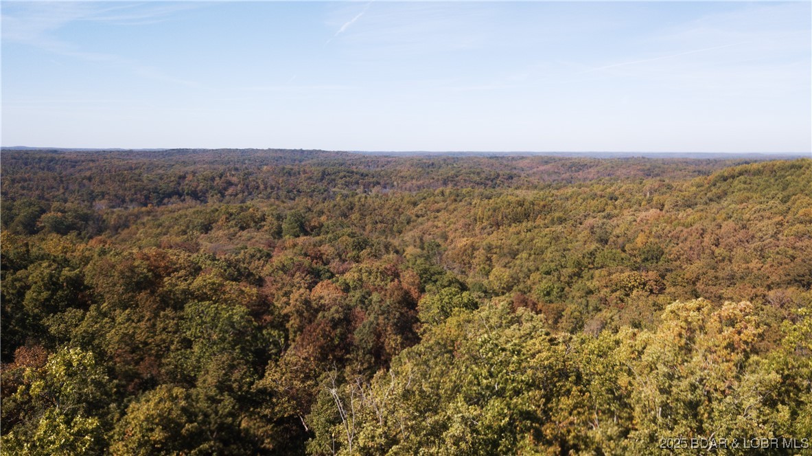 Adkins Road Climax Springs, MO 65324 - Photo 12 of 45