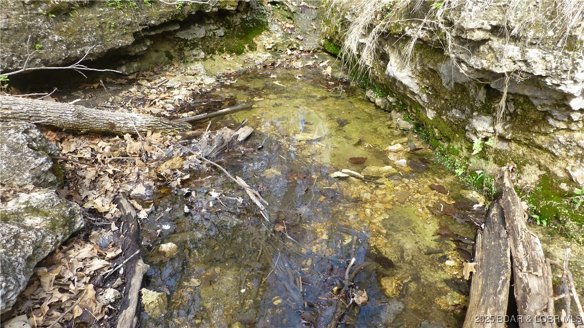 Adkins Road Climax Springs, MO 65324 - Photo 13 of 45 Spring Fed Upper Creek