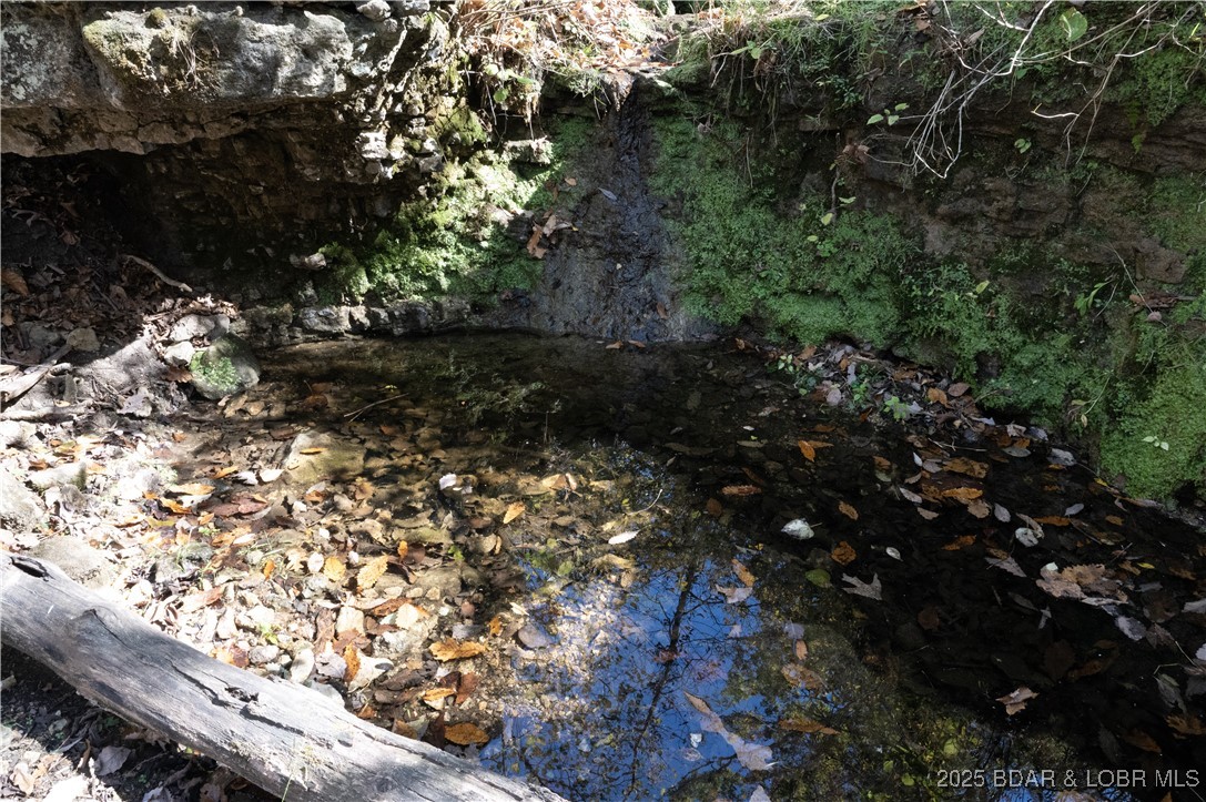 Adkins Road Climax Springs, MO 65324 - Photo 14 of 45 Spring Fed Lower Creek