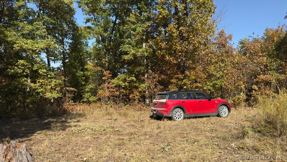 Adkins Road Climax Springs, MO 65324 - Photo 16 of 45 Cabin Site