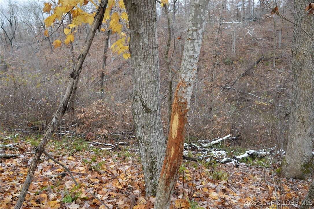 Adkins Road Climax Springs, MO 65324 - Photo 17 of 45