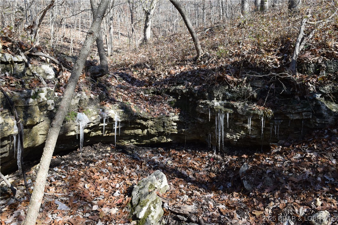 Adkins Road Climax Springs, MO 65324 - Photo 18 of 45