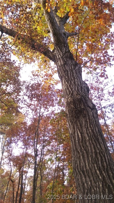 Adkins Road Climax Springs, MO 65324 - Photo 19 of 45