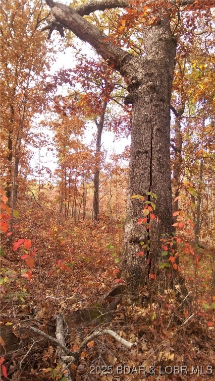 Adkins Road Climax Springs, MO 65324 - Photo 20 of 45