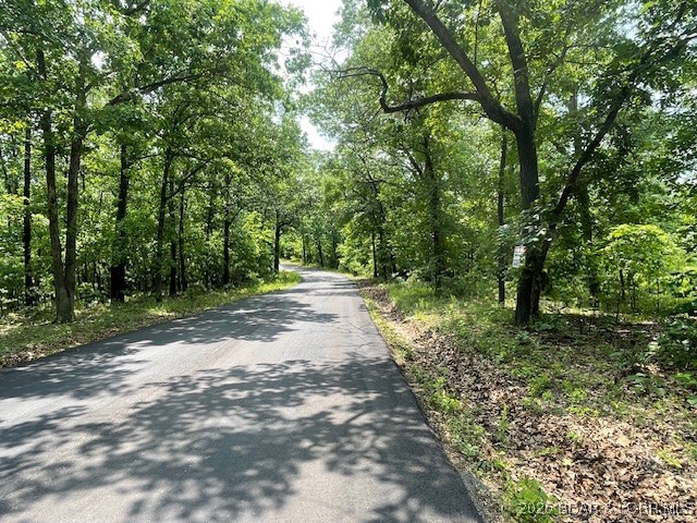 Adkins Road Climax Springs, MO 65324 - Photo 2 of 45