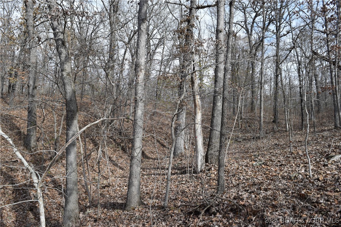 Adkins Road Climax Springs, MO 65324 - Photo 21 of 45