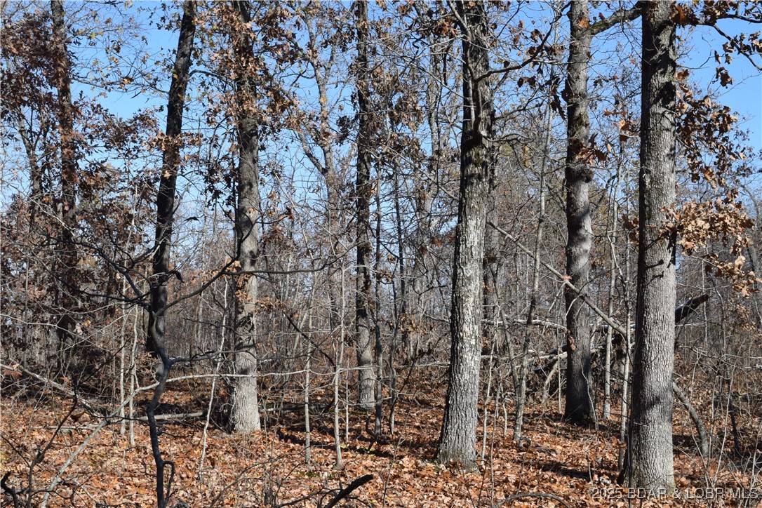 Adkins Road Climax Springs, MO 65324 - Photo 22 of 45