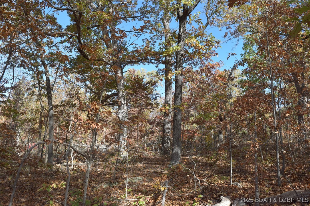 Adkins Road Climax Springs, MO 65324 - Photo 25 of 45