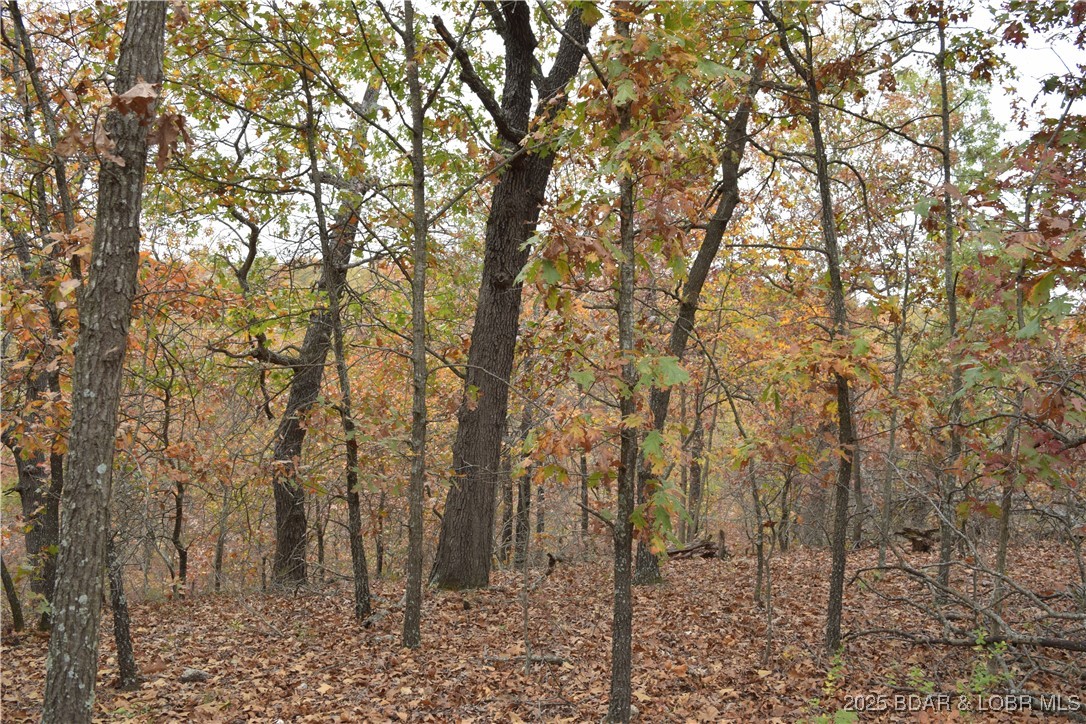 Adkins Road Climax Springs, MO 65324 - Photo 26 of 45