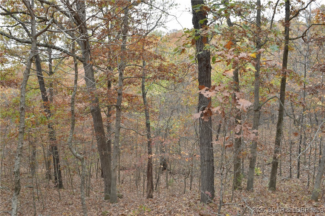 Adkins Road Climax Springs, MO 65324 - Photo 27 of 45