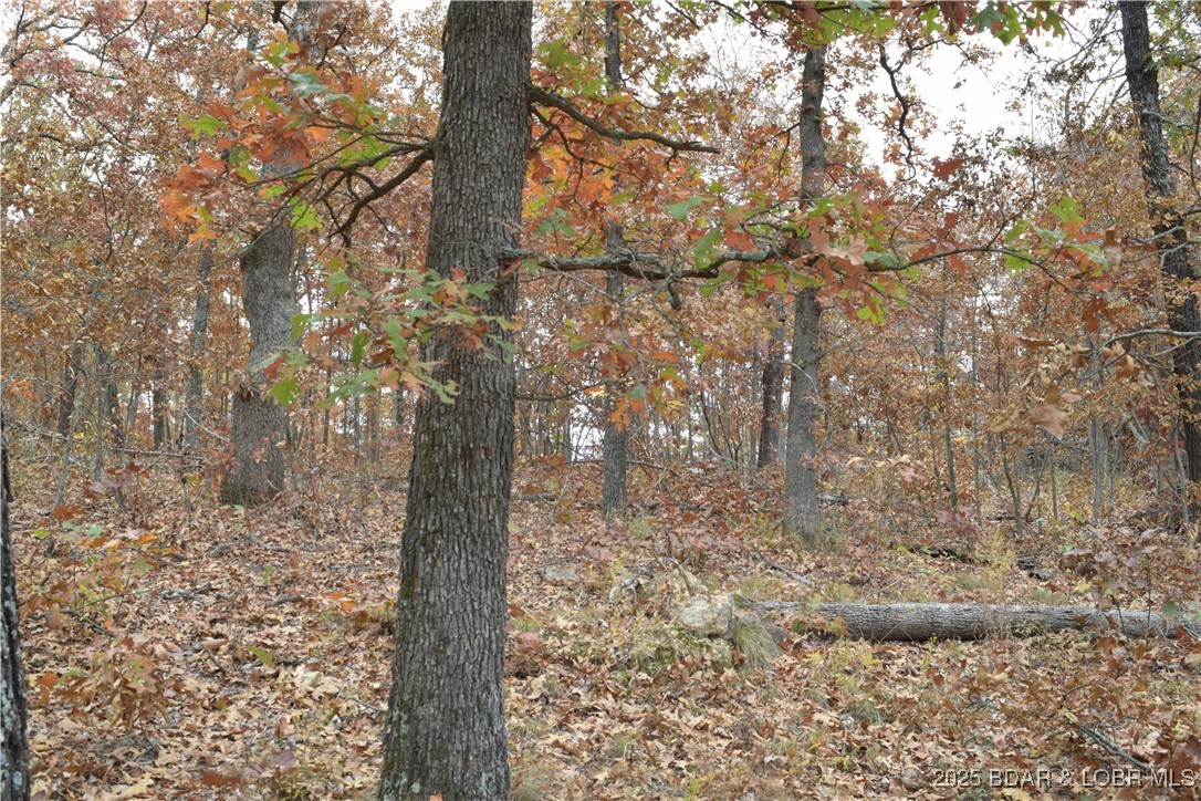 Adkins Road Climax Springs, MO 65324 - Photo 28 of 45