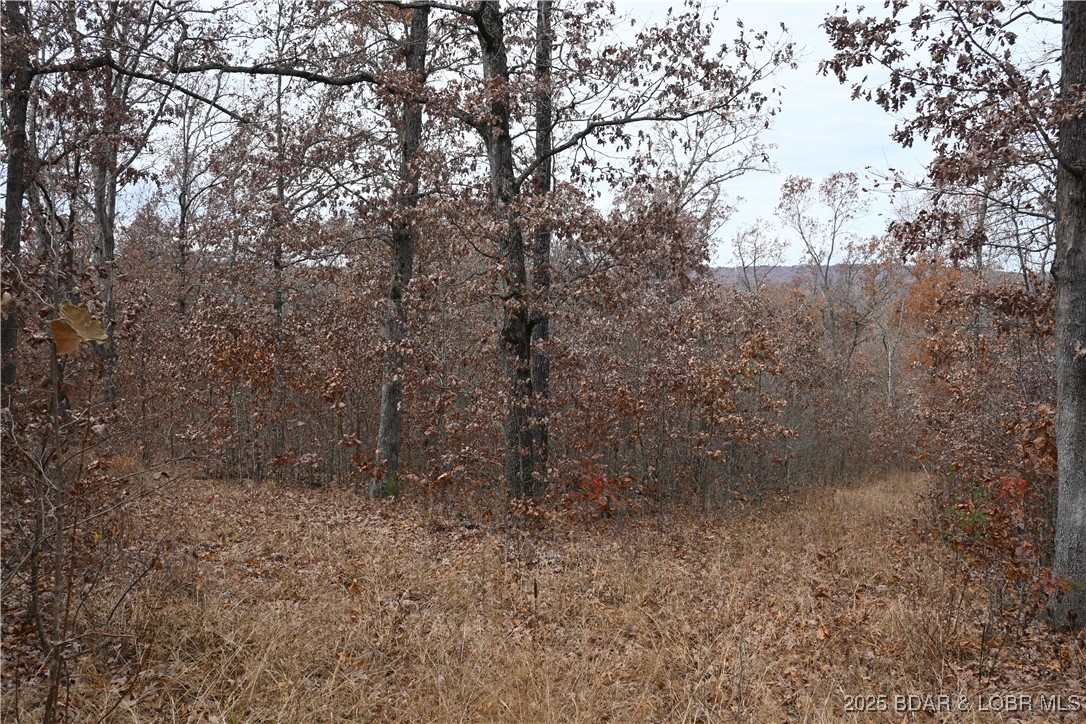 Adkins Road Climax Springs, MO 65324 - Photo 29 of 45