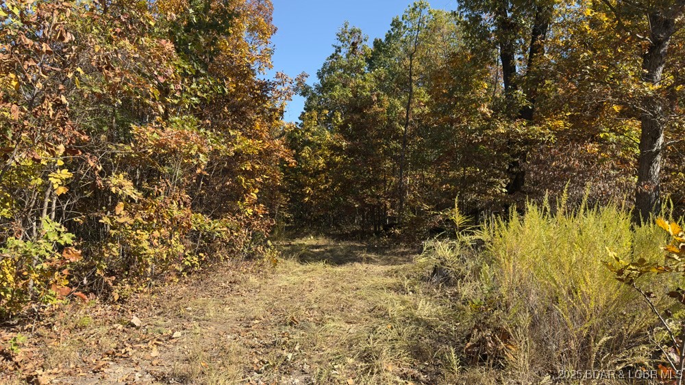 Adkins Road Climax Springs, MO 65324 - Photo 30 of 45