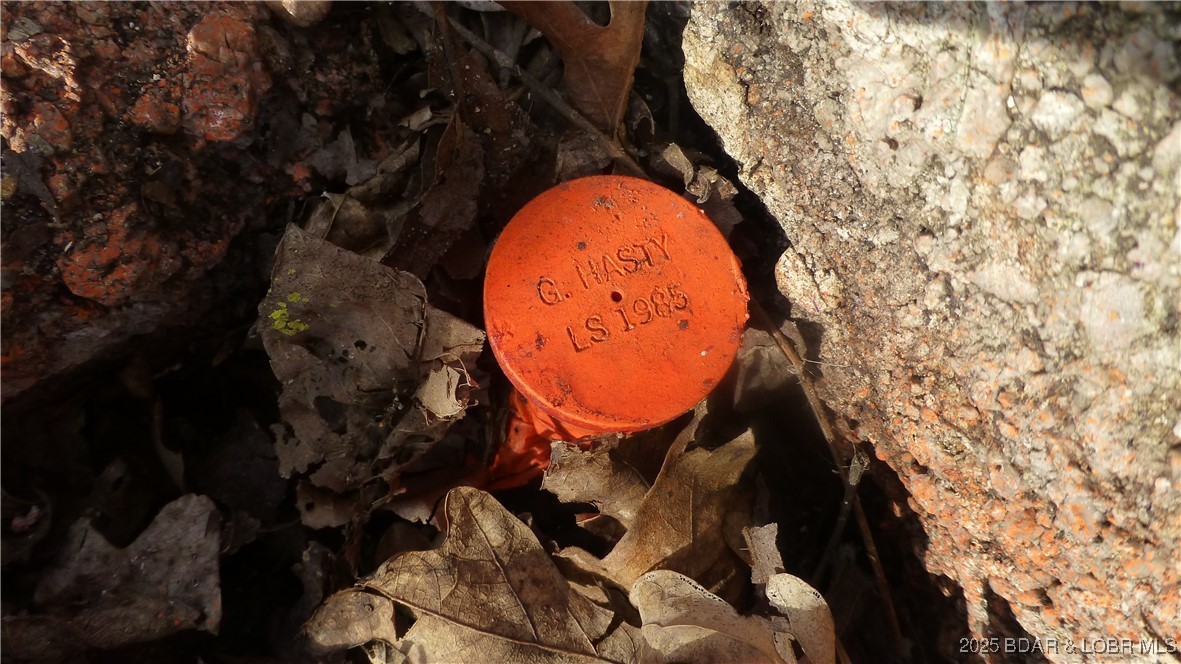 Adkins Road Climax Springs, MO 65324 - Photo 31 of 45 Survey Marker