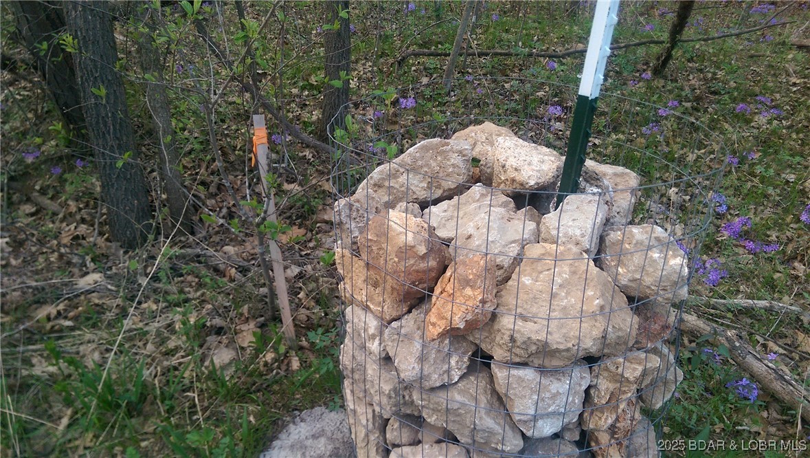 Adkins Road Climax Springs, MO 65324 - Photo 32 of 45 Survey Marker