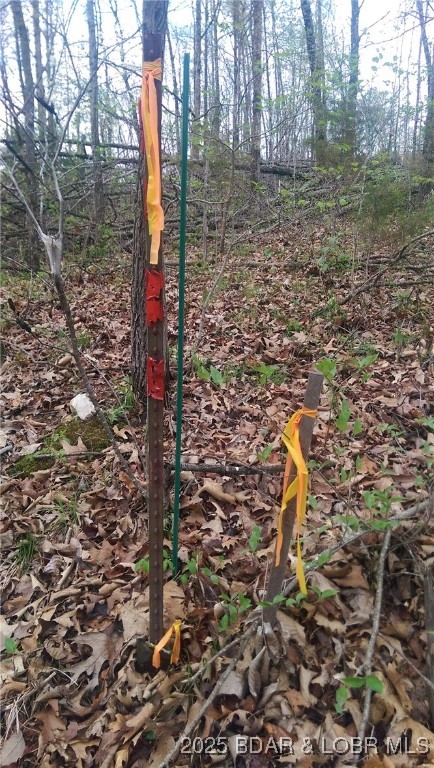 Adkins Road Climax Springs, MO 65324 - Photo 33 of 45