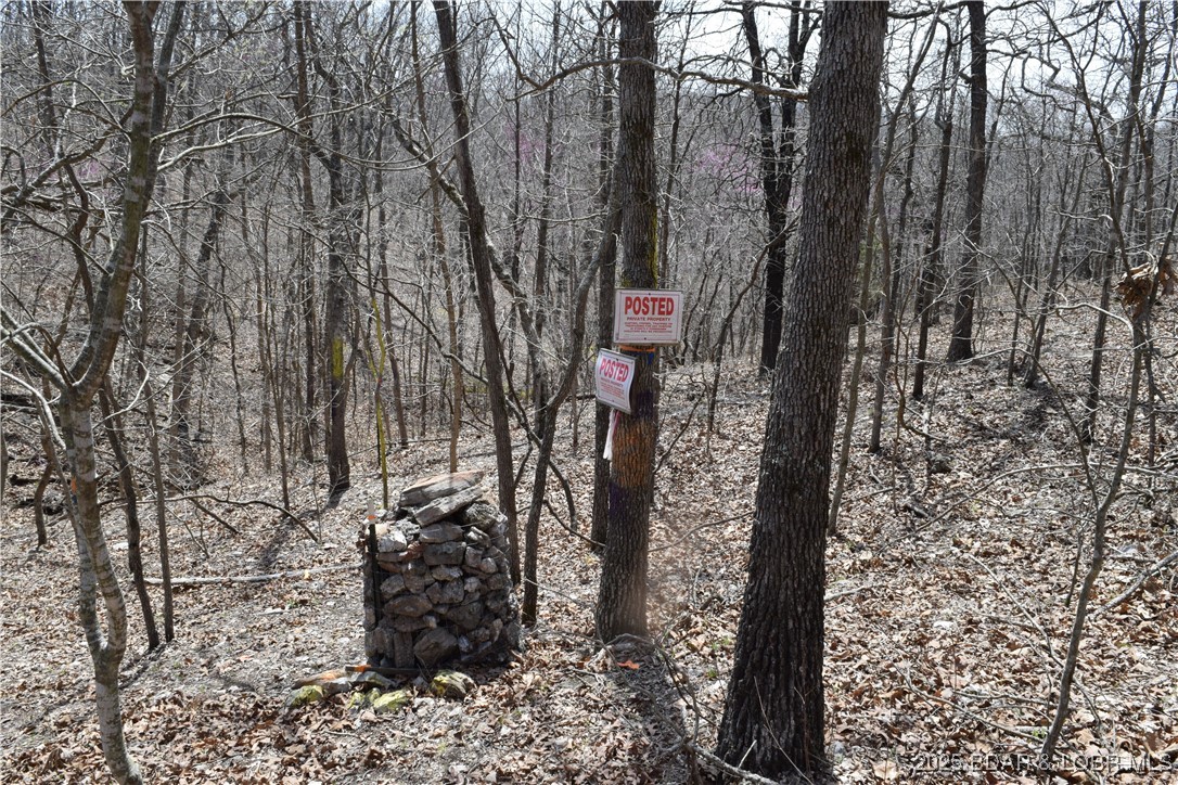 Adkins Road Climax Springs, MO 65324 - Photo 34 of 45