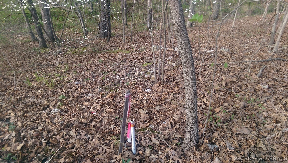 Adkins Road Climax Springs, MO 65324 - Photo 35 of 45