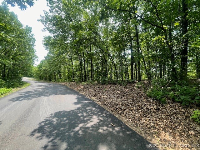 Adkins Road Climax Springs, MO 65324 - Photo 36 of 45