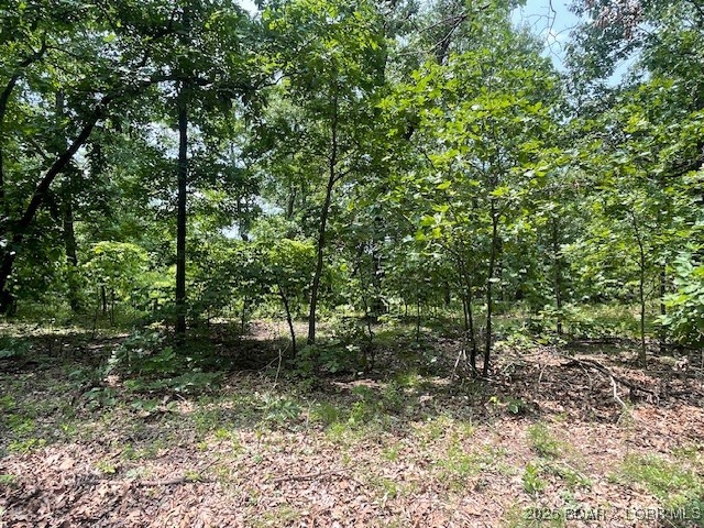 Adkins Road Climax Springs, MO 65324 - Photo 37 of 45