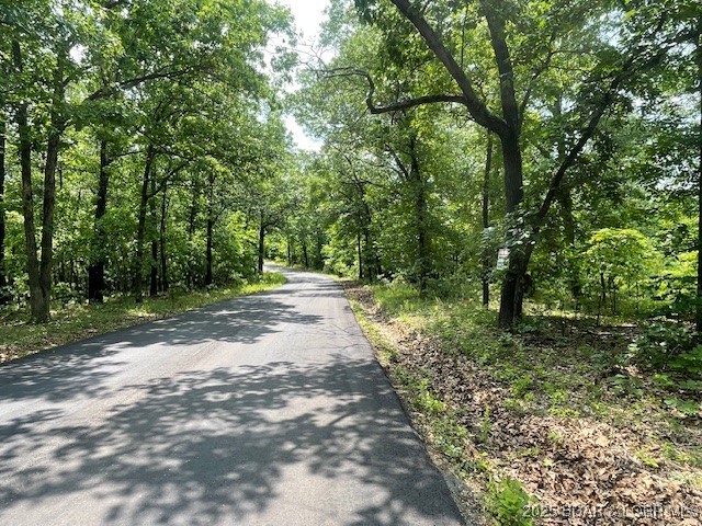 Adkins Road Climax Springs, MO 65324 - Photo 38 of 45