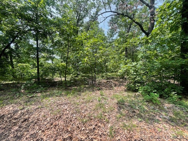 Adkins Road Climax Springs, MO 65324 - Photo 40 of 45