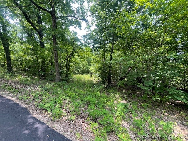 Adkins Road Climax Springs, MO 65324 - Photo 41 of 45