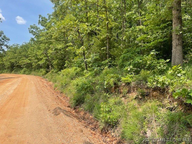 Adkins Road Climax Springs, MO 65324 - Photo 42 of 45