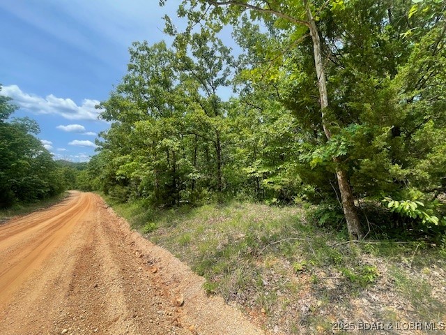 Adkins Road Climax Springs, MO 65324 - Photo 43 of 45