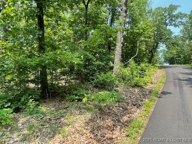 Adkins Road Climax Springs, MO 65324 - Photo 5 of 45