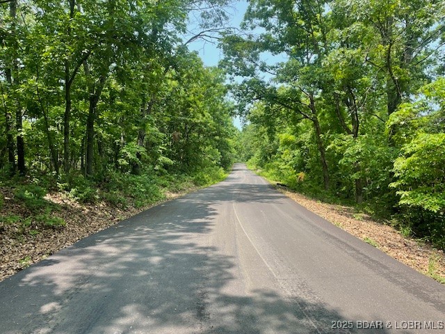 Adkins Road Climax Springs, MO 65324 - Photo 6 of 45