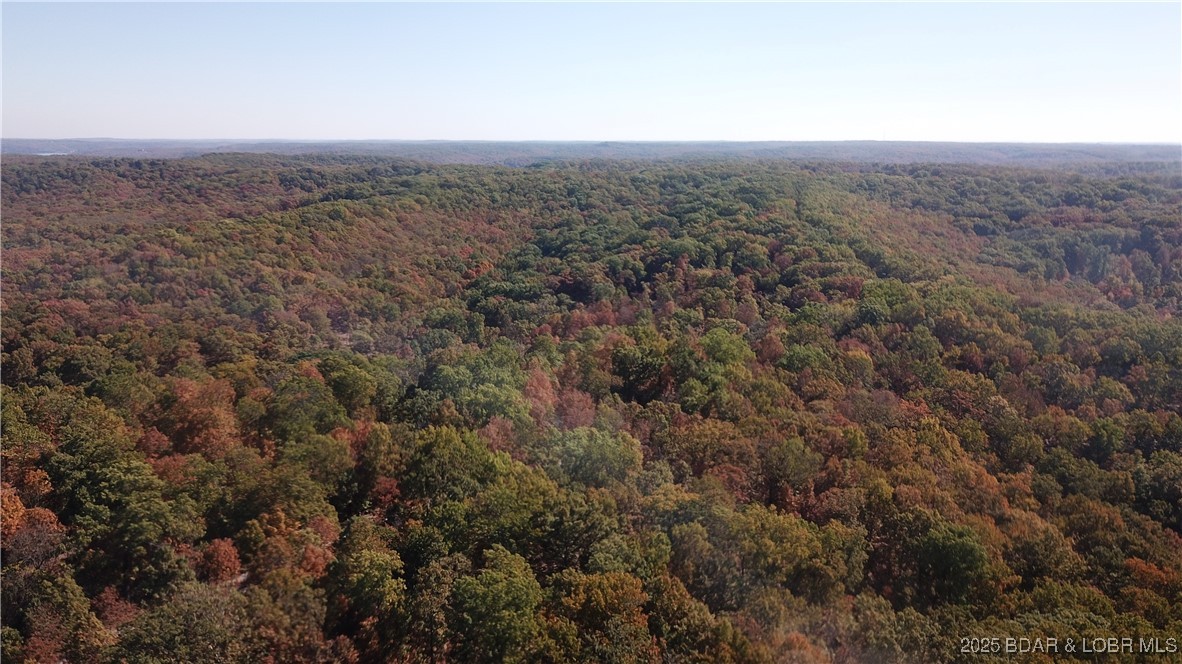 Adkins Road Climax Springs, MO 65324 - Photo 7 of 45