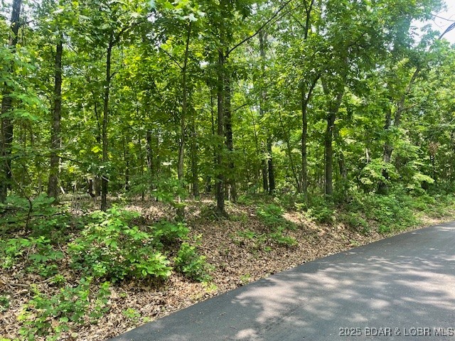 Adkins Road Climax Springs, MO 65324 - Photo 9 of 45